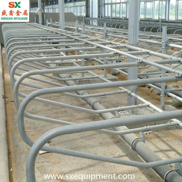 Cattle Free Stall From Shengxin Factory