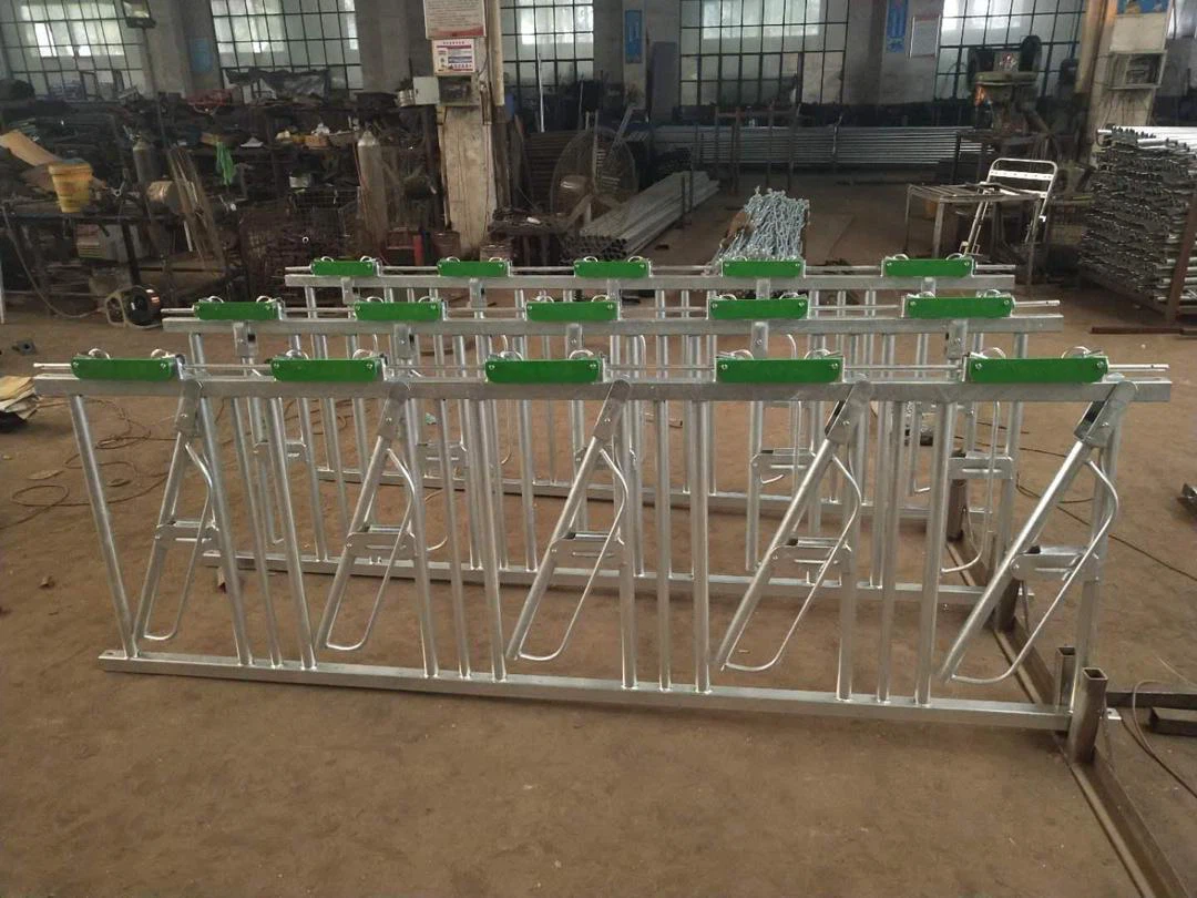 O fabricante profissional de equipamentos agrícolas há 13 anos